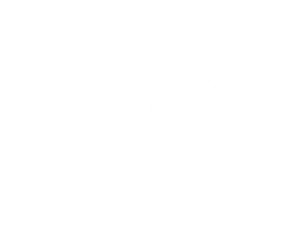 SHOPAIMVISION